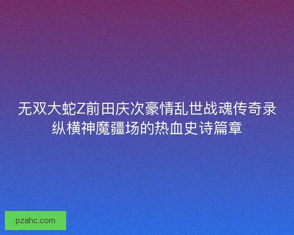 无双大蛇Z前田庆次豪情乱世战魂传奇录纵横神魔疆场的热血史诗篇章