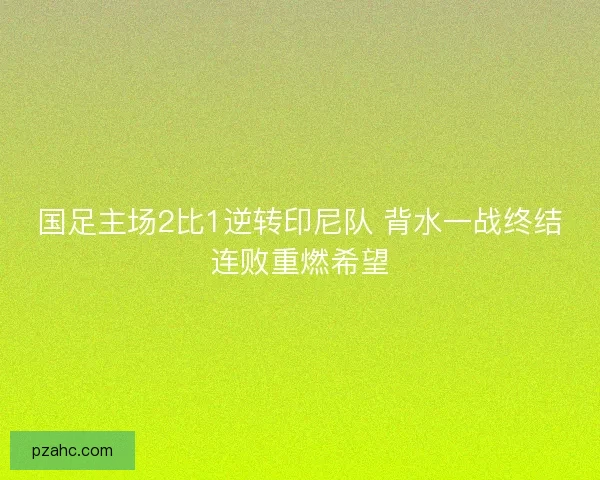 国足主场2比1逆转印尼队 背水一战终结连败重燃希望