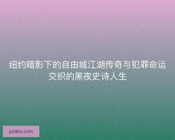 纽约暗影下的自由城江湖传奇与犯罪命运交织的黑夜史诗人生