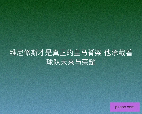 维尼修斯才是真正的皇马脊梁 他承载着球队未来与荣耀 维尼修斯才是真正的皇马脊梁 他承载着球队未来与荣耀