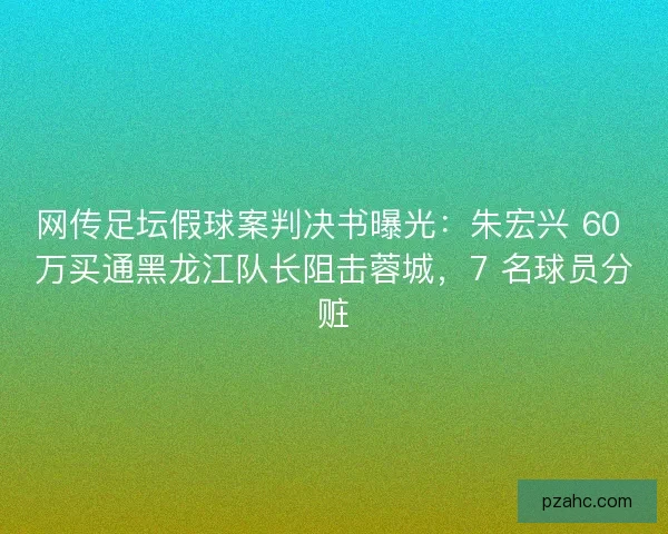 网传足坛假球案判决书曝光：朱宏兴 60 万买通黑龙江队长阻击蓉城，7 名球员分赃