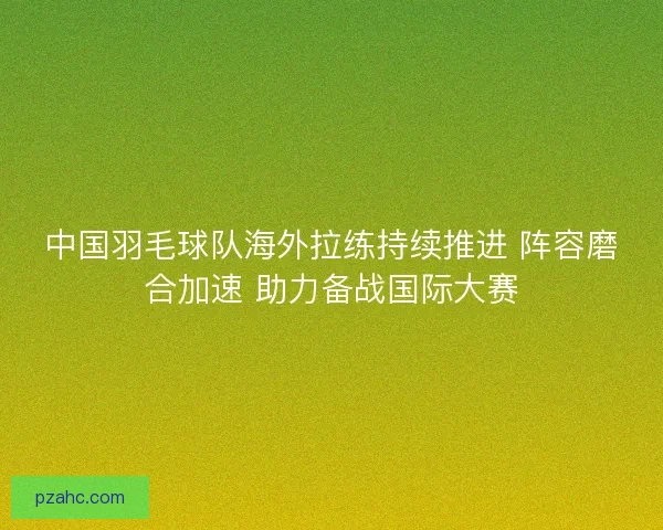中国羽毛球队海外拉练持续推进 阵容磨合加速 助力备战国际大赛
